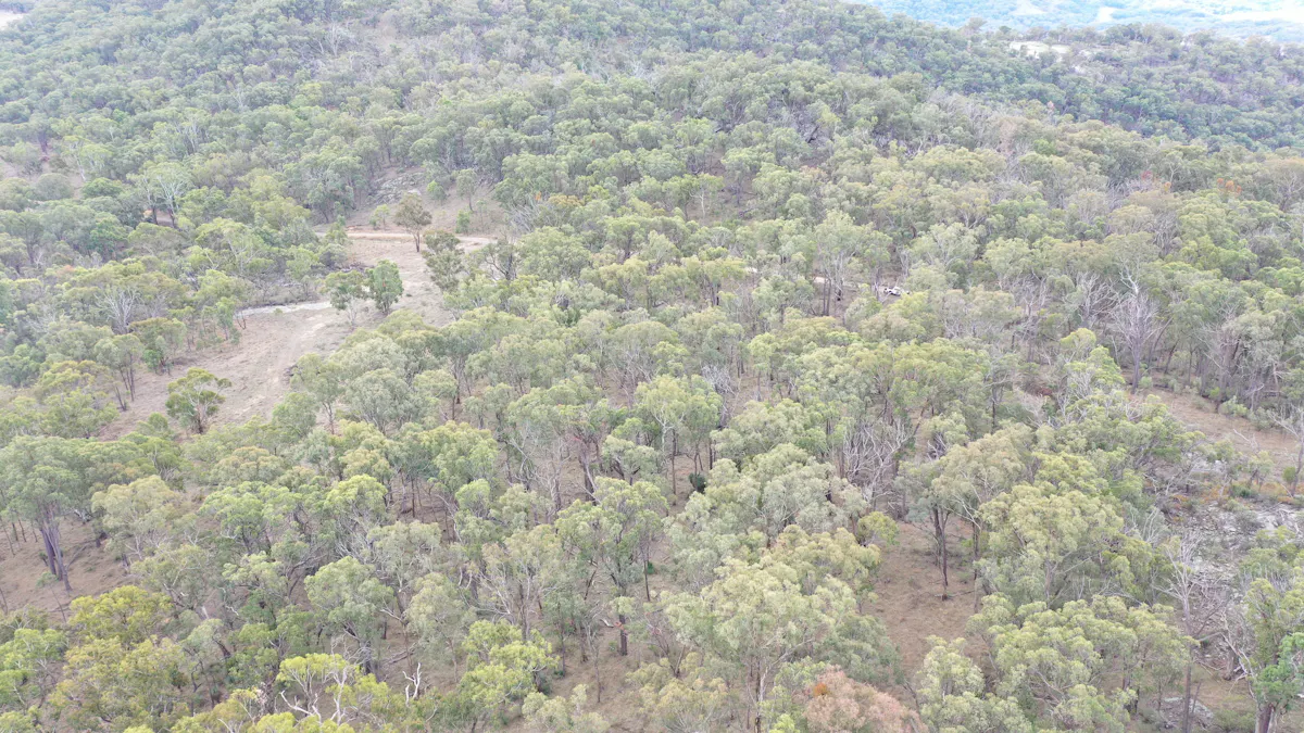 Lot 3 Halls Creek Road, Halls Creek, NSW, 2346 - Image 8