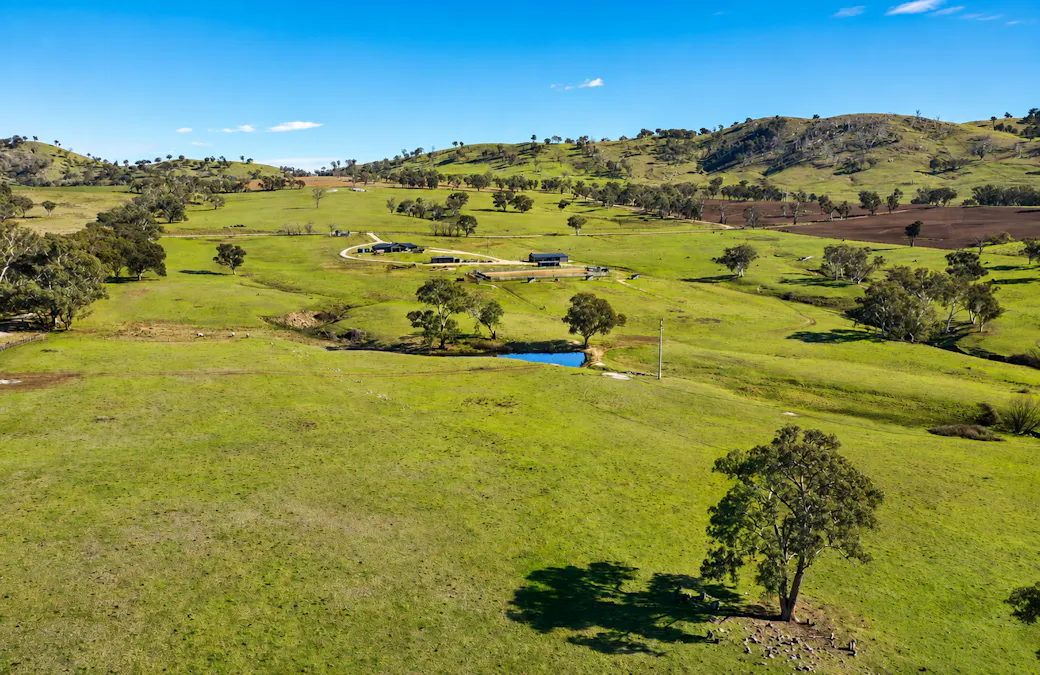 6953 Halls Creek Road, Bendemeer, NSW, 2355 - Image 3