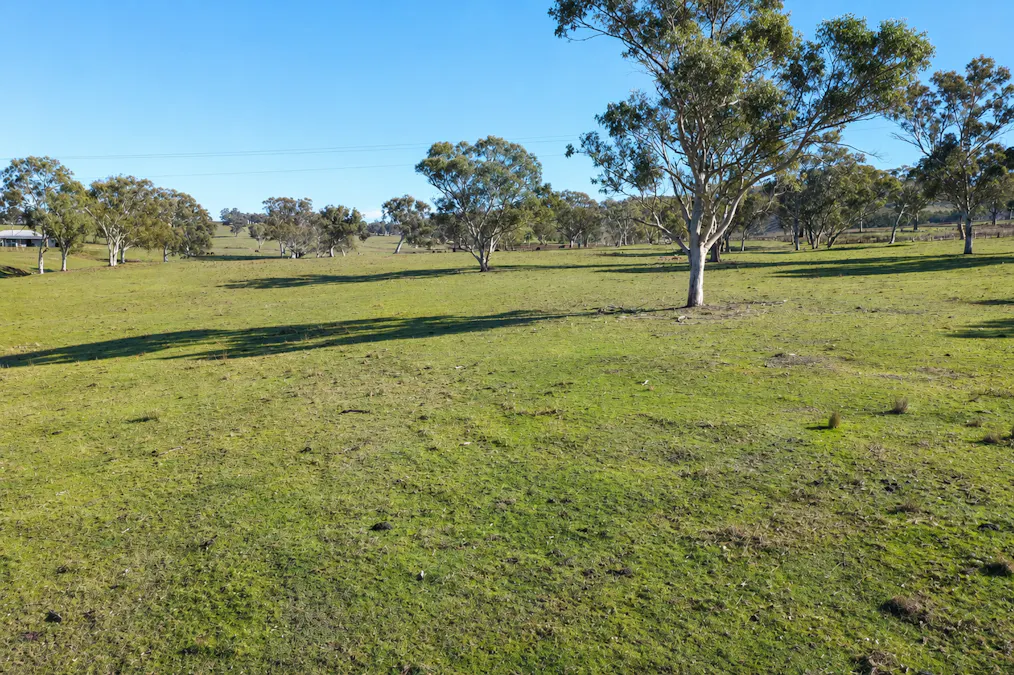 6953 Halls Creek Road, Bendemeer, NSW, 2355 - Image 7