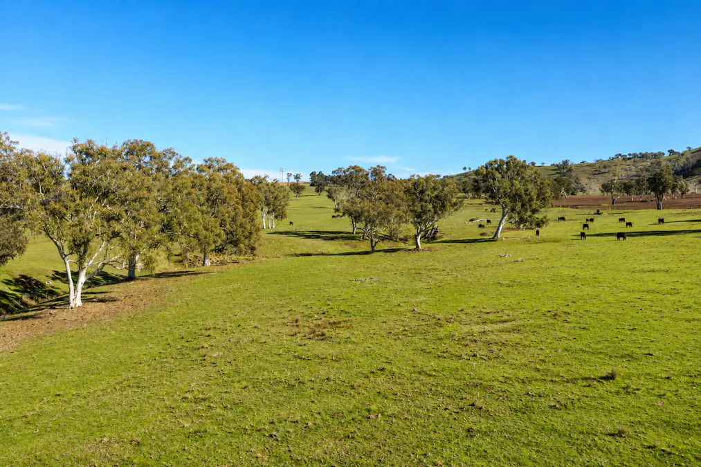 6953 Halls Creek Road, Bendemeer, NSW, 2355 - Image 24