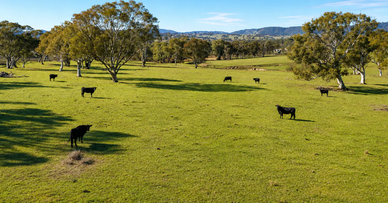 6953 Halls Creek Road, Bendemeer, NSW, 2355 - Image 8