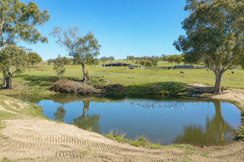 6953 Halls Creek Road, Bendemeer, NSW, 2355 - Image 23