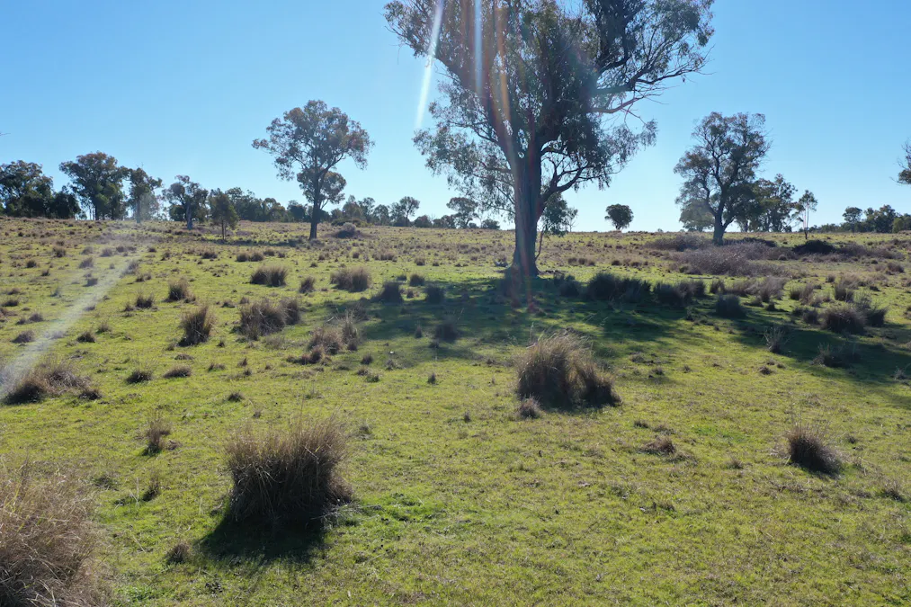 631 Glenelg Road, Bundarra, NSW, 2359 - Image 2