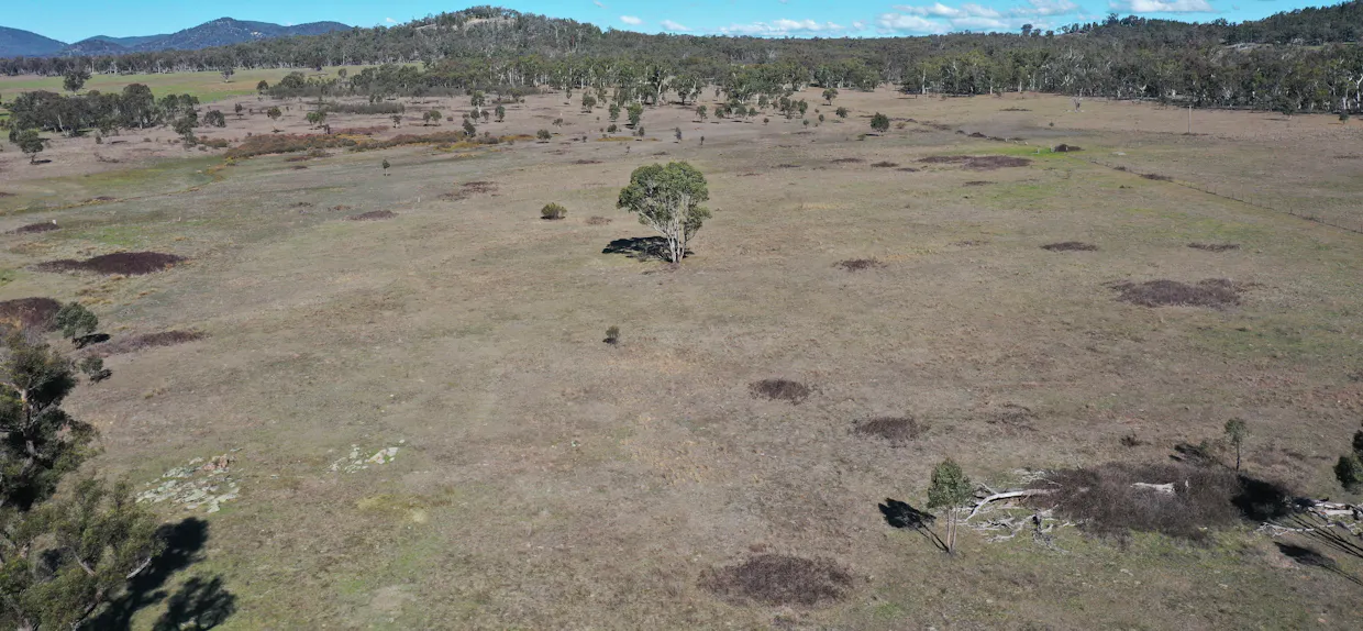 1322 Danehurst Road, Bendemeer, NSW, 2355 - Image 10