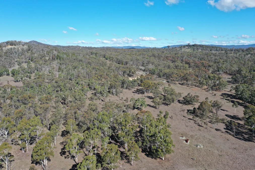 1322 Danehurst Road, Bendemeer, NSW, 2355 - Image 14