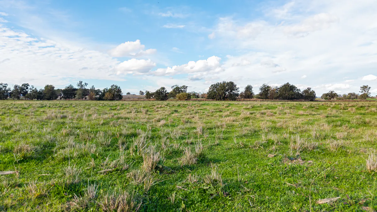 14628 New England Highway, Tamworth, NSW, 2340 - Image 9