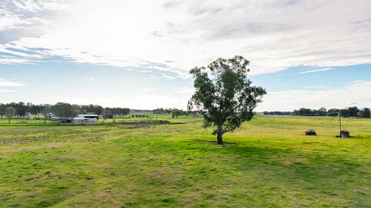 14628 New England Highway, Tamworth, NSW, 2340 - Image 10