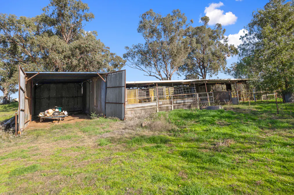5082 Werris Creek Road, Tamworth, NSW, 2340 - Image 13