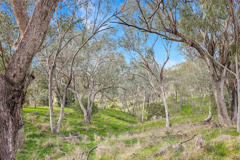 98 Tullamore Road, Tamworth, NSW, 2340 - Image 15