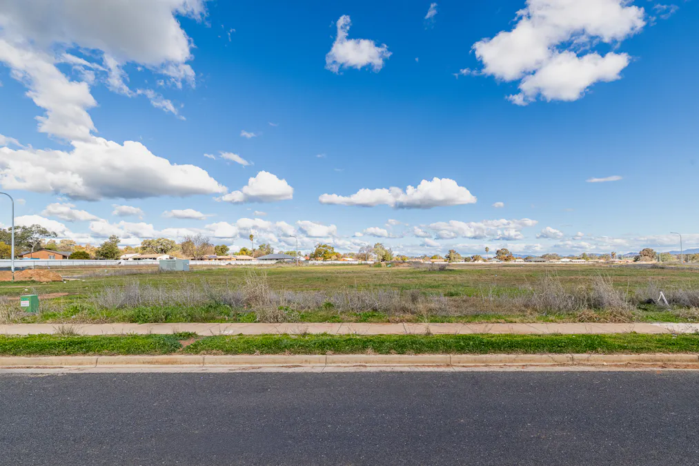 46 Green Street, West Tamworth, NSW, 2340 - Image 4