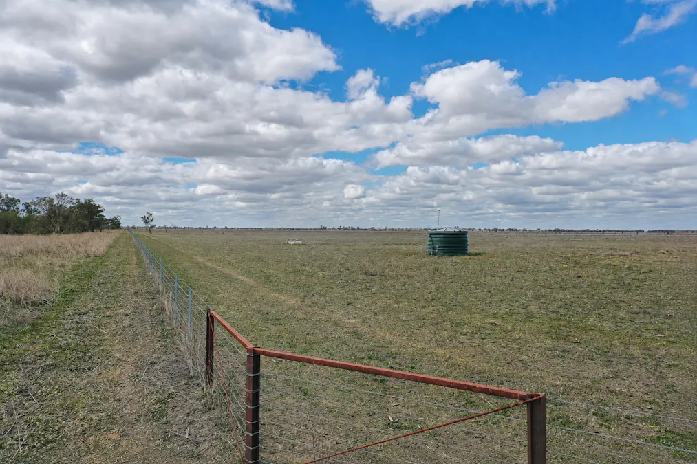 2906 Wilby Wilby Road, Cumborah, NSW, 2832 - Image 11