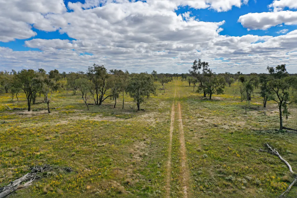 2906 Wilby Wilby Road, Cumborah, NSW, 2832 - Image 6