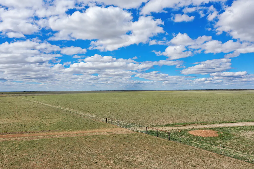 2906 Wilby Wilby Road, Cumborah, NSW, 2832 - Image 10