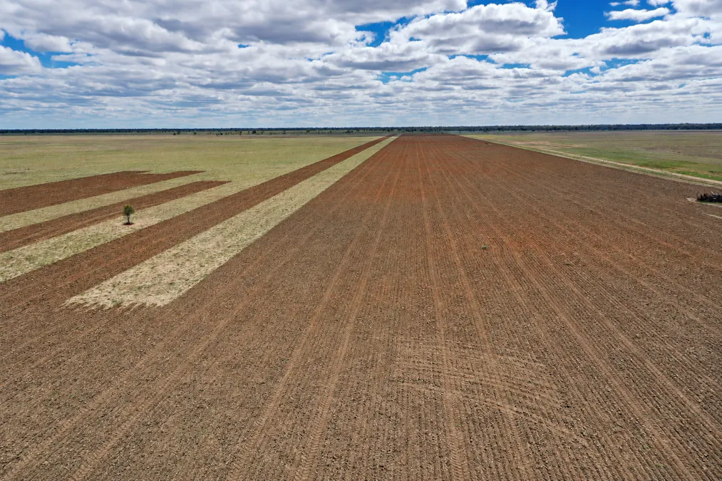 2906 Wilby Wilby Road, Cumborah, NSW, 2832 - Image 1