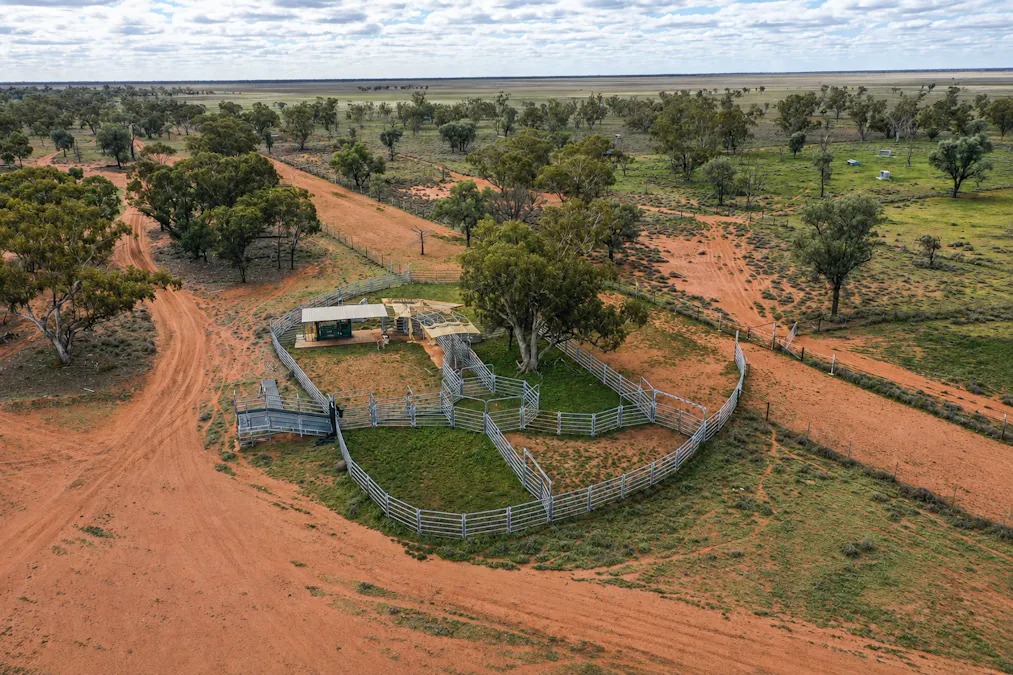 2906 Wilby Wilby Road, Cumborah, NSW, 2832 - Image 22