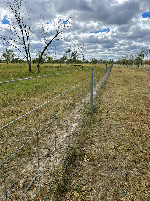 2906 Wilby Wilby Road, Cumborah, NSW, 2832 - Image 18