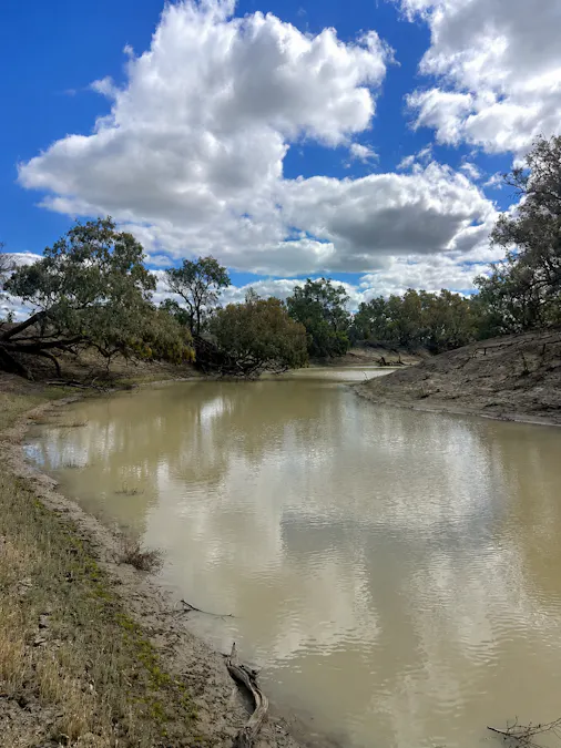 2906 Wilby Wilby Road, Cumborah, NSW, 2832 - Image 15