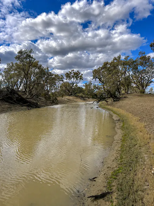 2906 Wilby Wilby Road, Cumborah, NSW, 2832 - Image 17