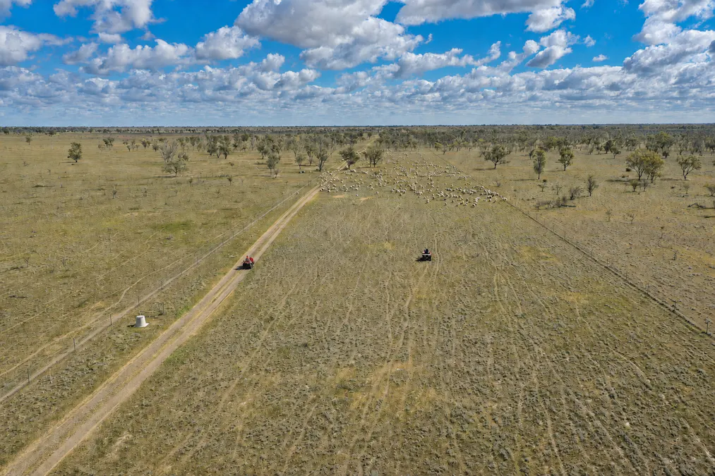 2906 Wilby Wilby Road, Cumborah, NSW, 2832 - Image 4