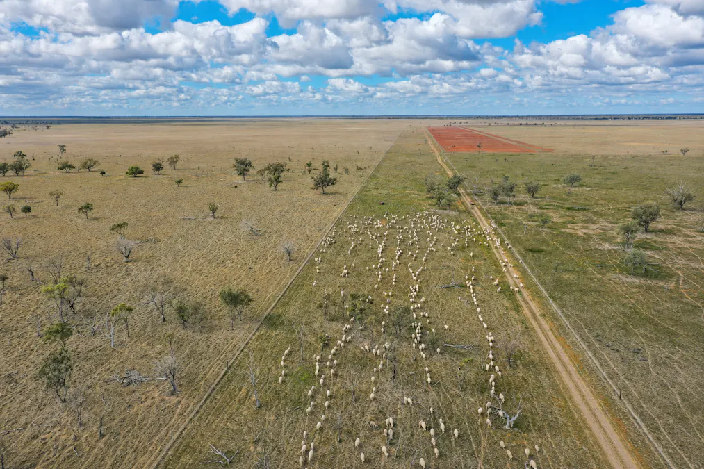 2906 Wilby Wilby Road, Cumborah, NSW, 2832 - Image 2