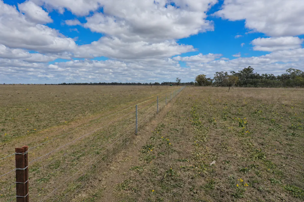 2906 Wilby Wilby Road, Cumborah, NSW, 2832 - Image 9