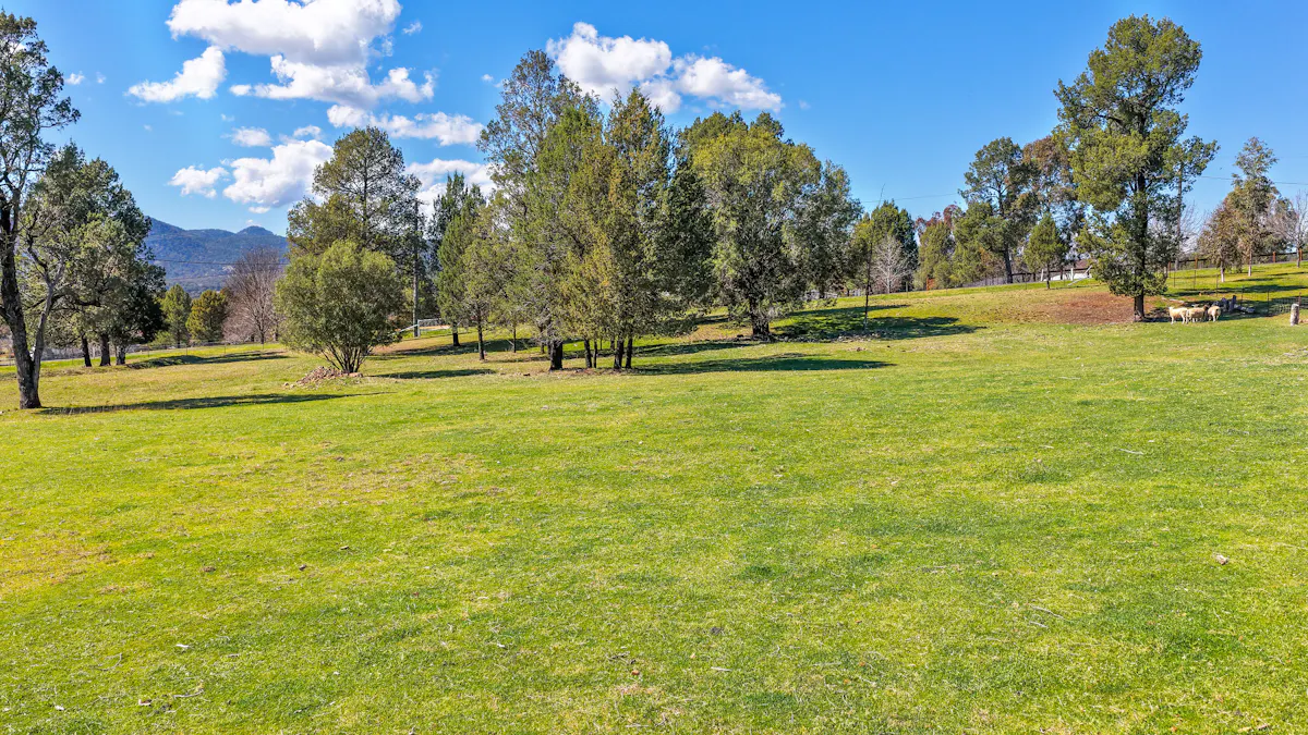 253 Catherine Way, Tamworth, NSW, 2340 - Image 15