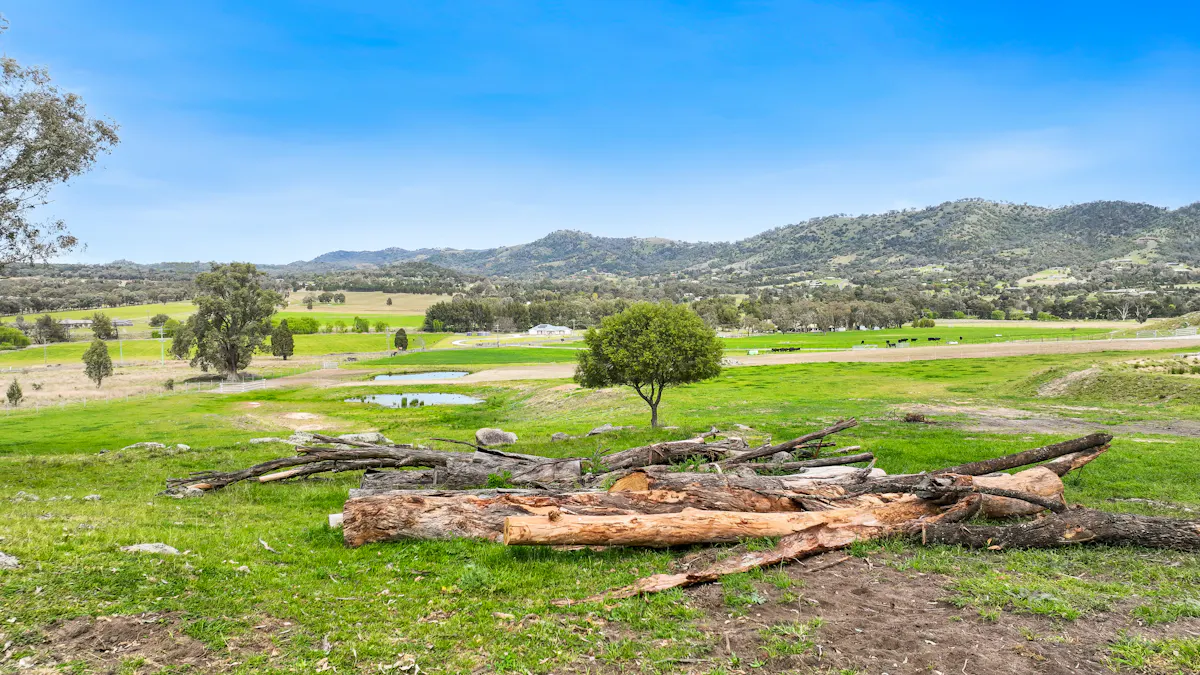 1519 Upper Moore Creek Road, Tamworth, NSW, 2340 - Image 9