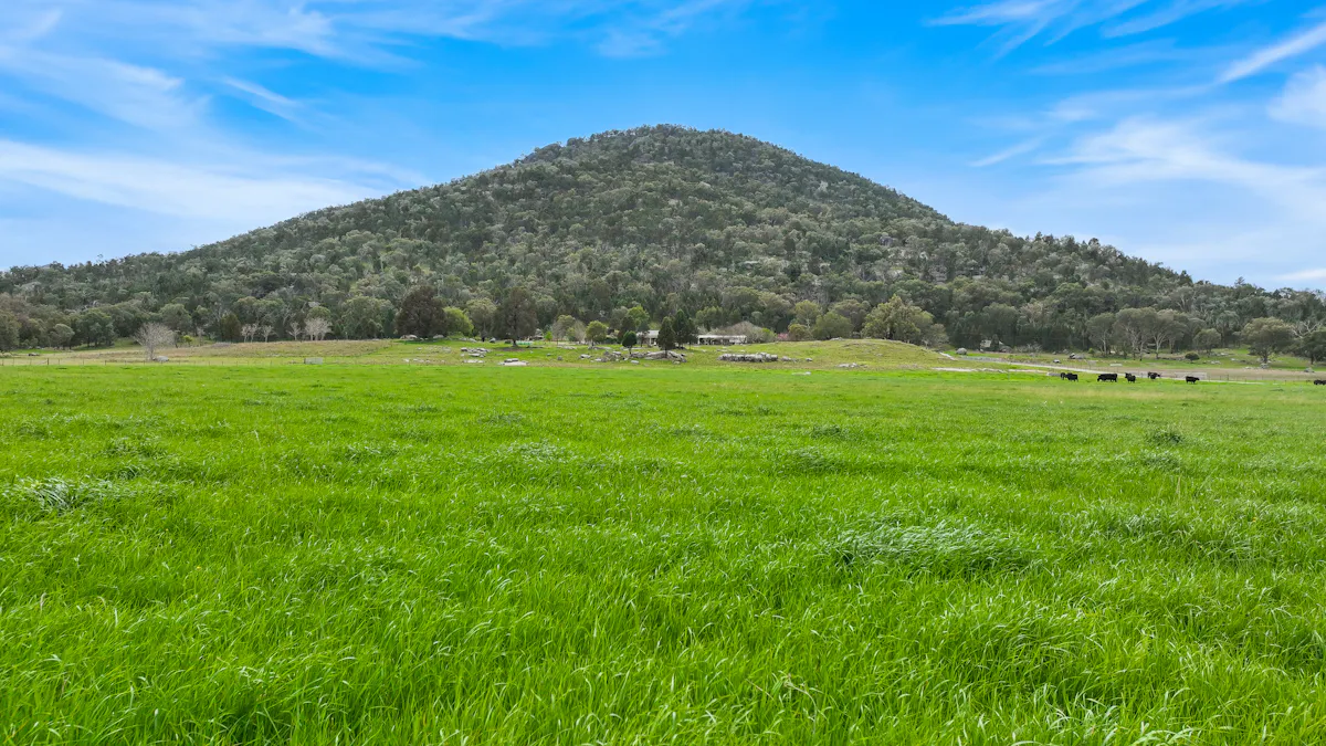 1519 Upper Moore Creek Road, Tamworth, NSW, 2340 - Image 21