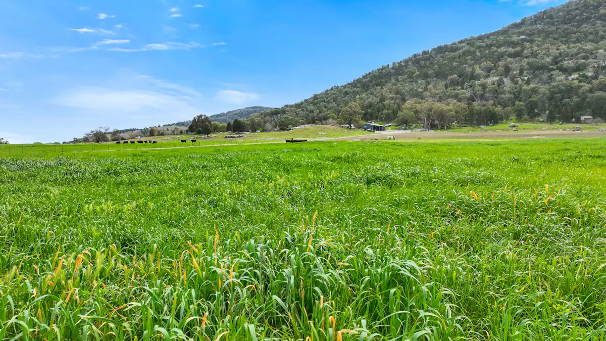 1519 Upper Moore Creek Road, Tamworth, NSW, 2340 - Image 22
