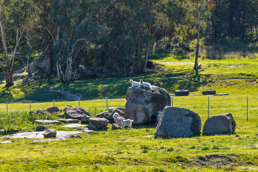 1519 Upper Moore Creek Road, Tamworth, NSW, 2340 - Image 23