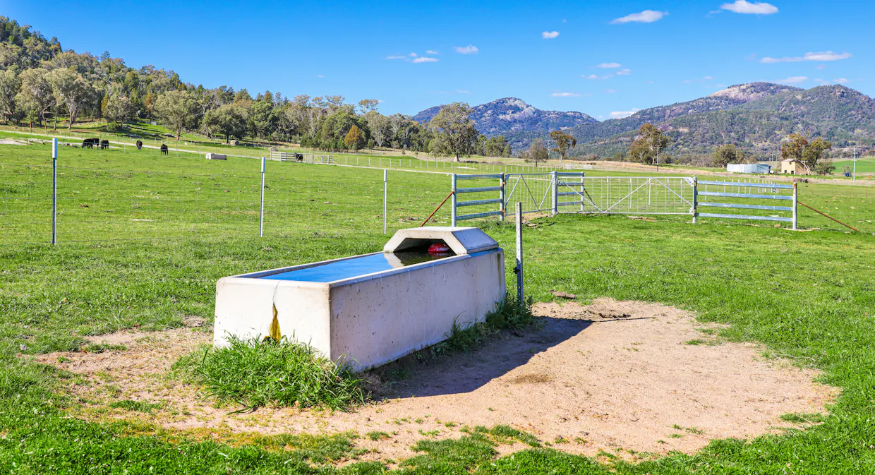 1519 Upper Moore Creek Road, Tamworth, NSW, 2340 - Image 20
