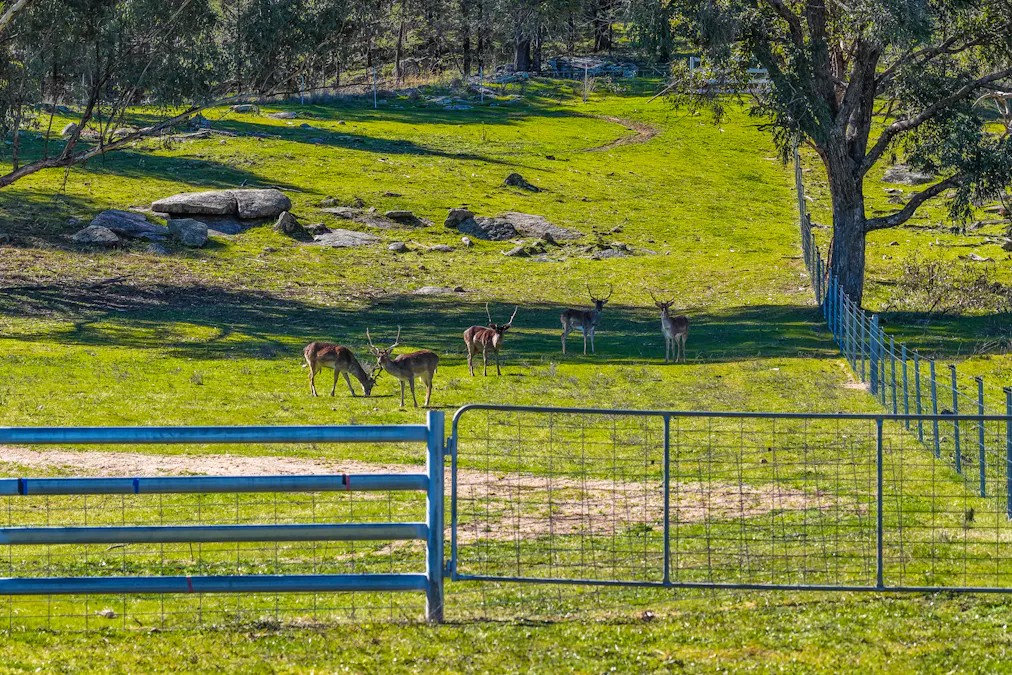 1519 Upper Moore Creek Road, Tamworth, NSW, 2340 - Image 17