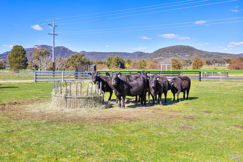 1519 Upper Moore Creek Road, Tamworth, NSW, 2340 - Image 19