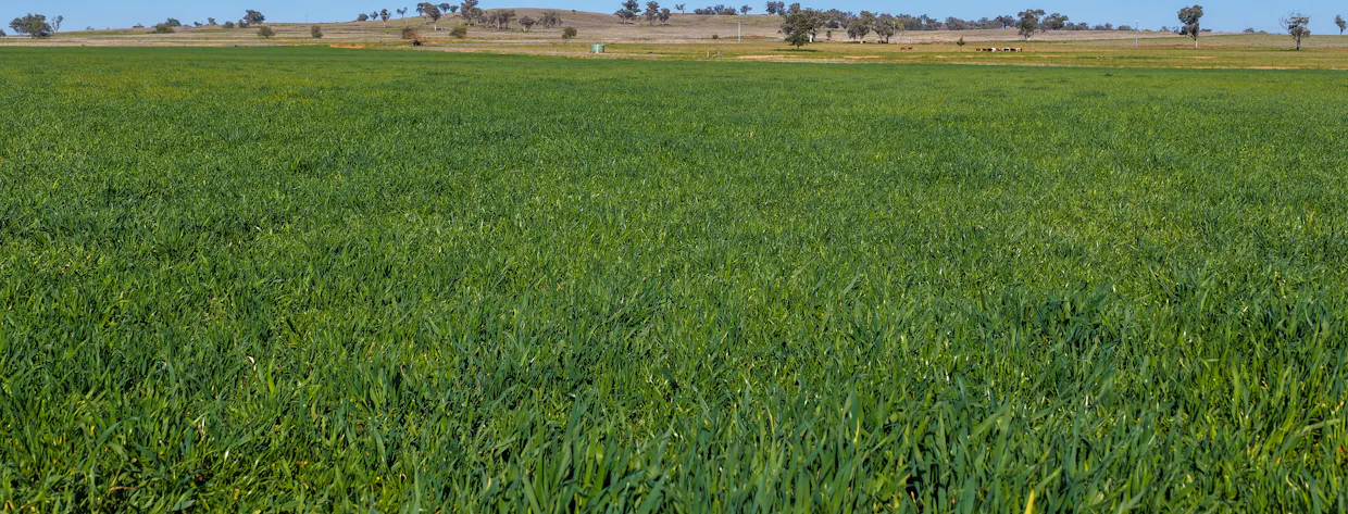387 Soldiers Settlement Road, Tamworth, NSW, 2340 - Image 12