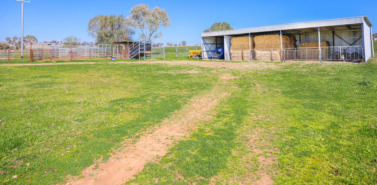 387 Soldiers Settlement Road, Tamworth, NSW, 2340 - Image 14