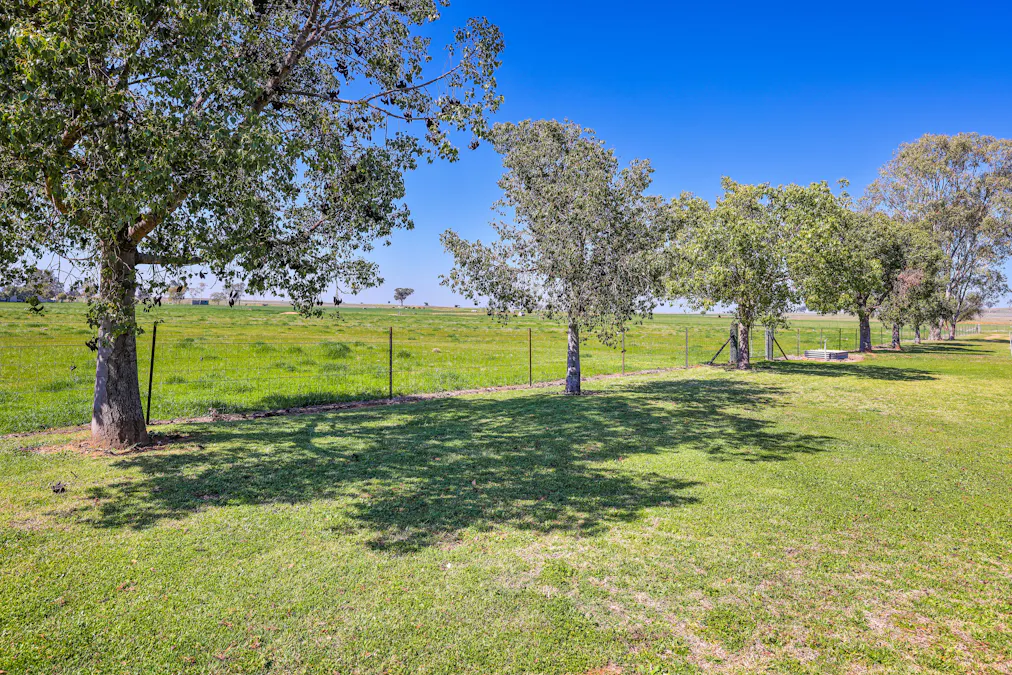 387 Soldiers Settlement Road, Tamworth, NSW, 2340 - Image 16