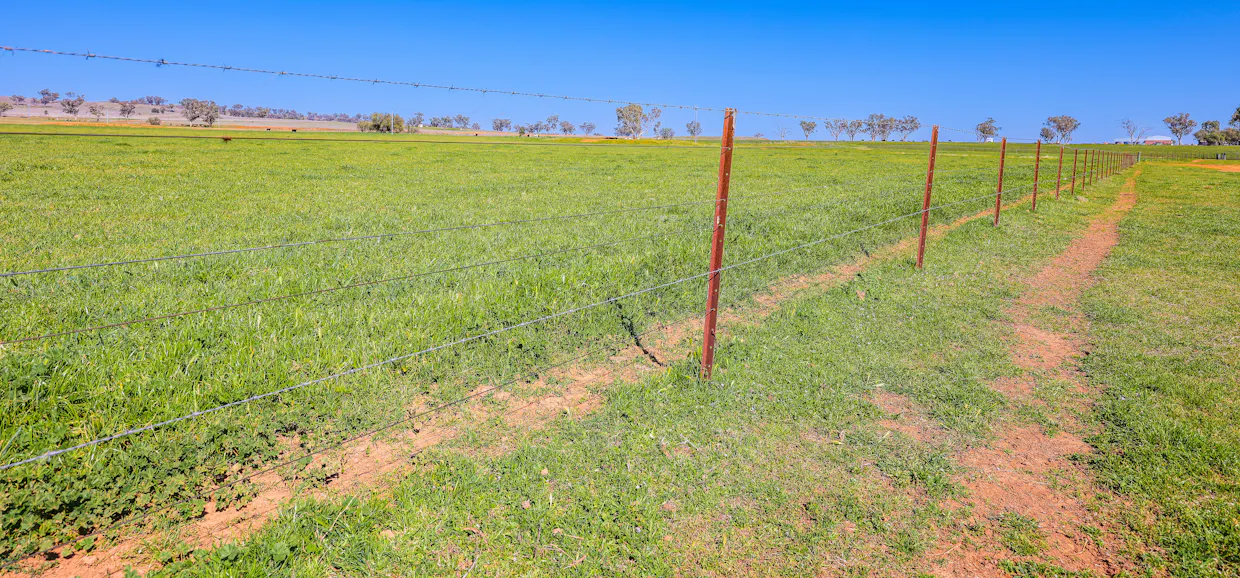 387 Soldiers Settlement Road, Tamworth, NSW, 2340 - Image 20