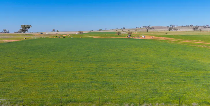 387 Soldiers Settlement Road, Tamworth, NSW, 2340
