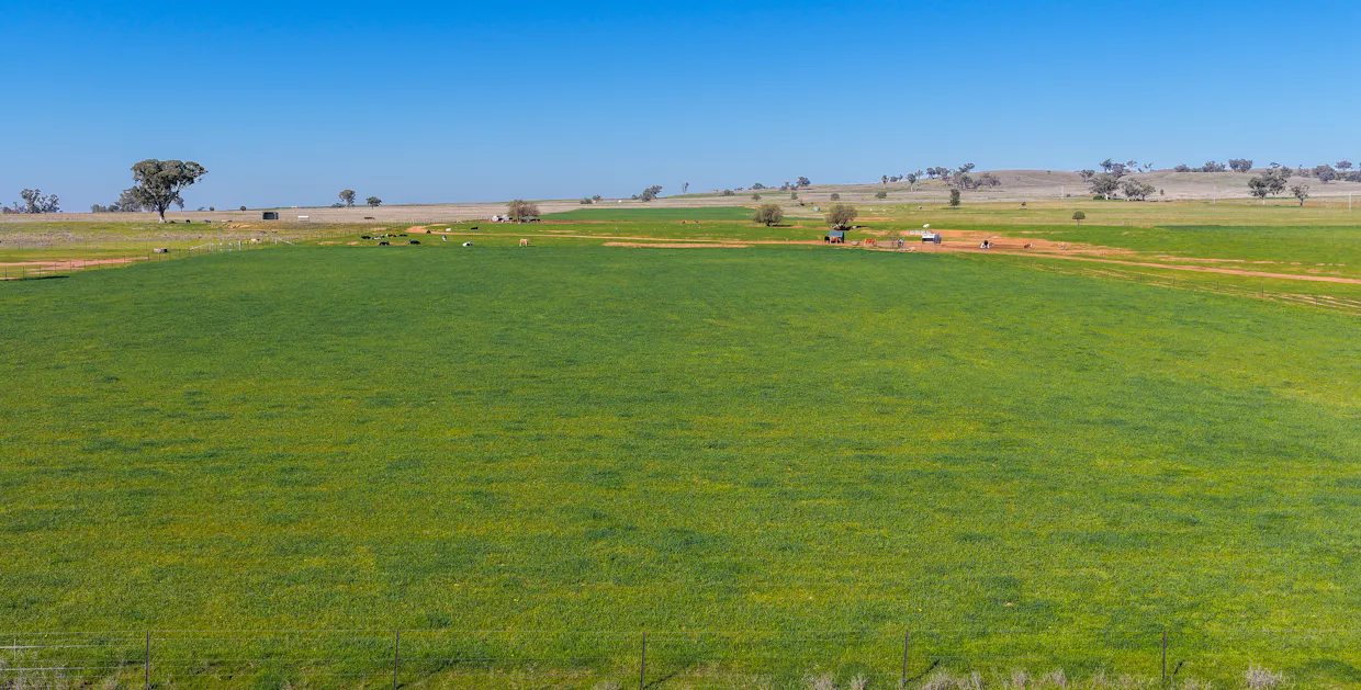 387 Soldiers Settlement Road, Tamworth, NSW, 2340 - Image 22