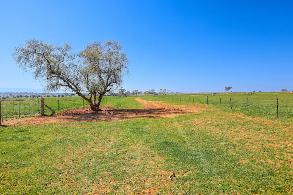 387 Soldiers Settlement Road, Tamworth, NSW, 2340 - Image 23