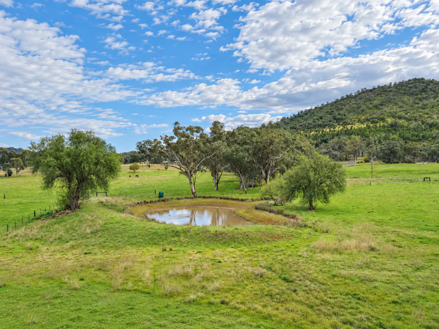 88 Mount Cobla Road, Currabubula, NSW, 2342 - Image 3