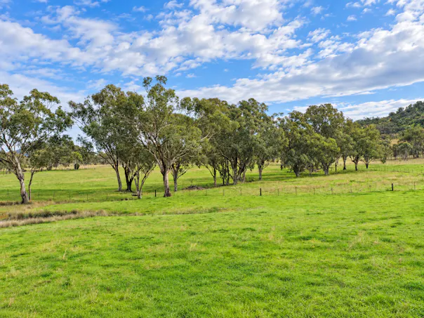 88 Mount Cobla Road, Currabubula, NSW, 2342