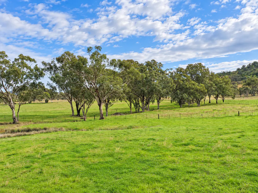 88 Mount Cobla Road, Currabubula, NSW, 2342 - Image 1