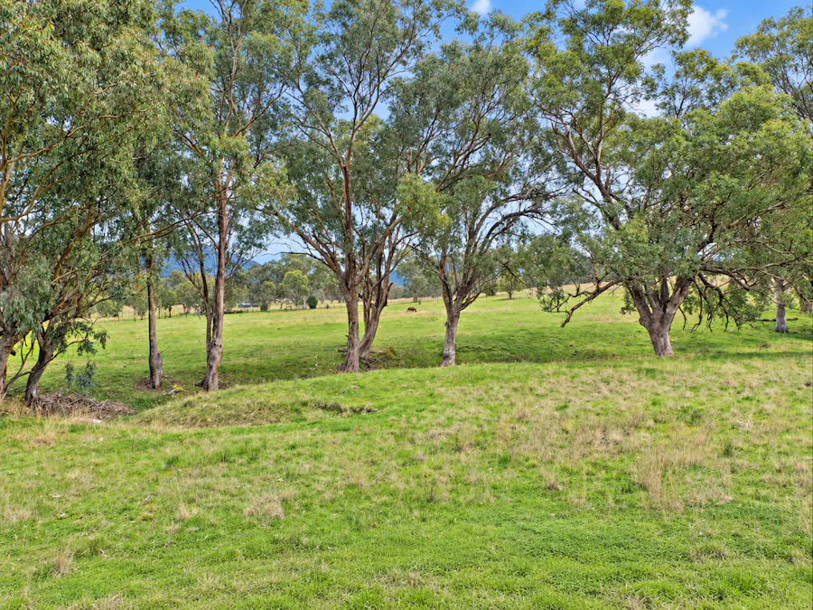 88 Mount Cobla Road, Currabubula, NSW, 2342 - Image 4