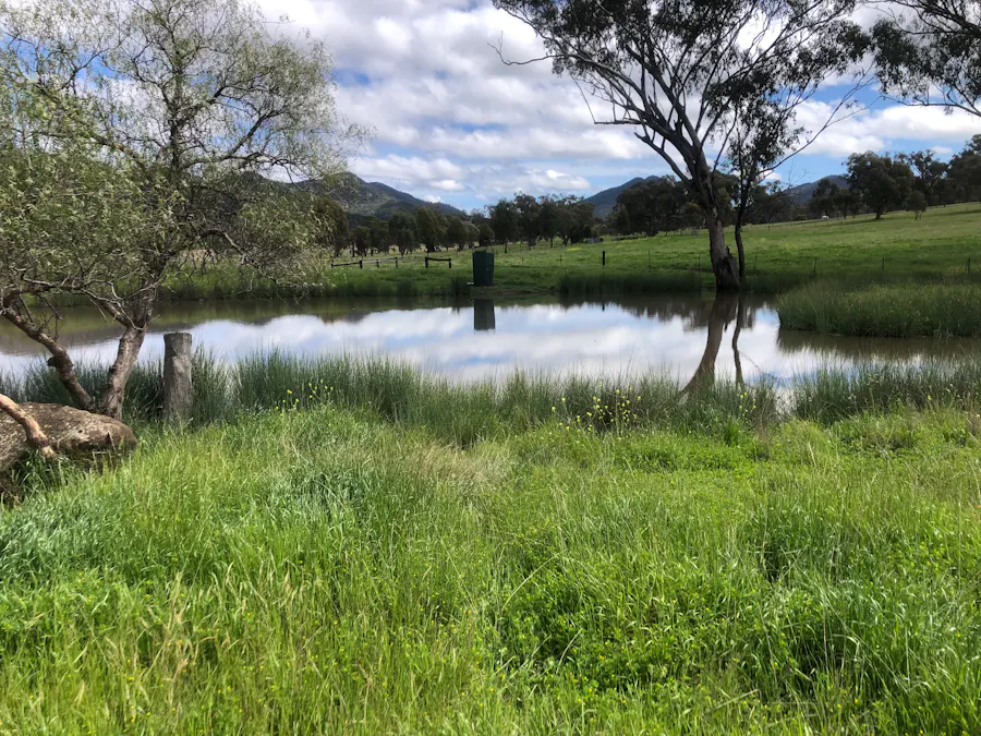 88 Mount Cobla Road, Currabubula, NSW, 2342 - Image 6