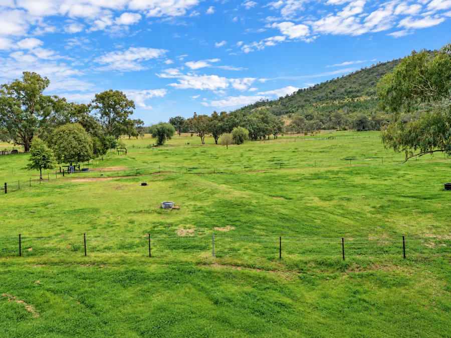 88 Mount Cobla Road, Currabubula, NSW, 2342 - Image 10