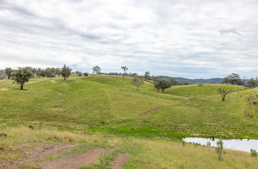 1102 Woodburn Emello Road, Barraba, NSW, 2347 - Image 2