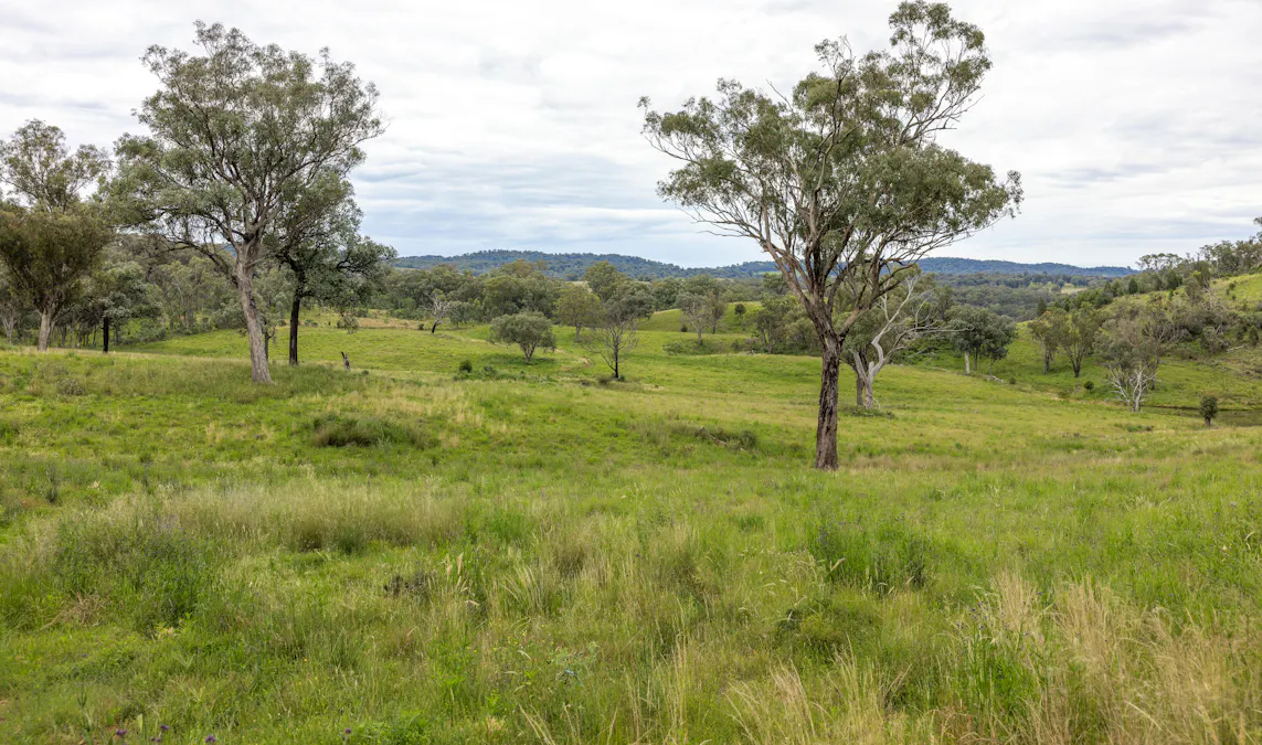 1102 Woodburn Emello Road, Barraba, NSW, 2347 - Image 3