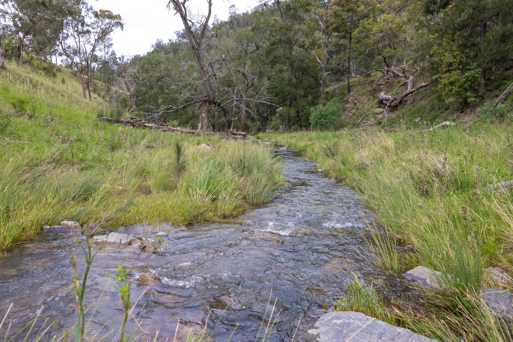 1102 Woodburn Emello Road, Barraba, NSW, 2347 - Image 4