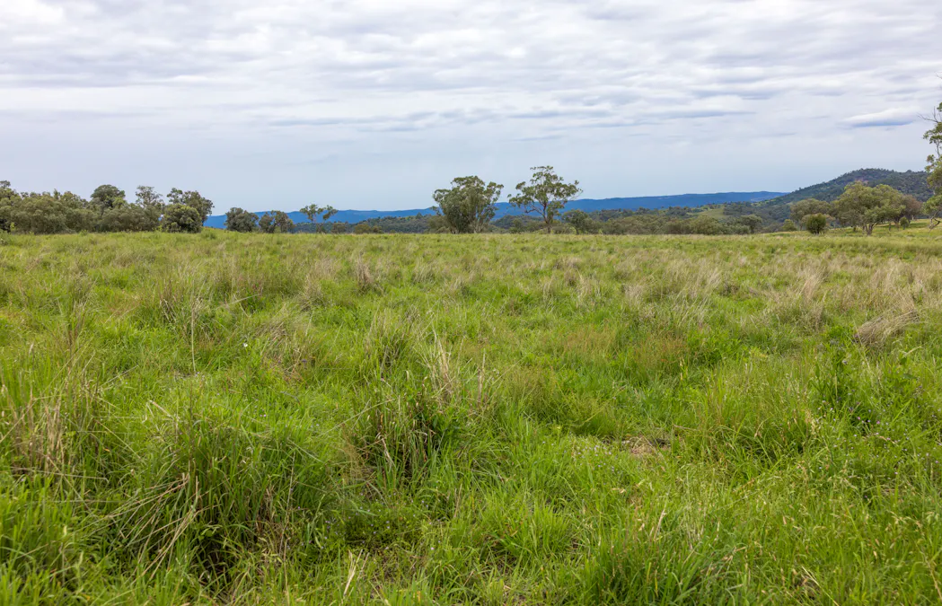 1102 Woodburn Emello Road, Barraba, NSW, 2347 - Image 5